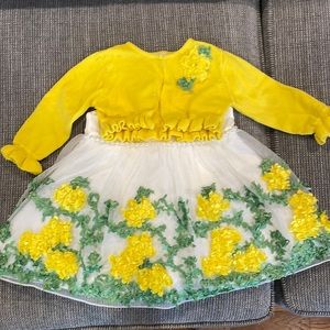 American Princess Dress 18M
